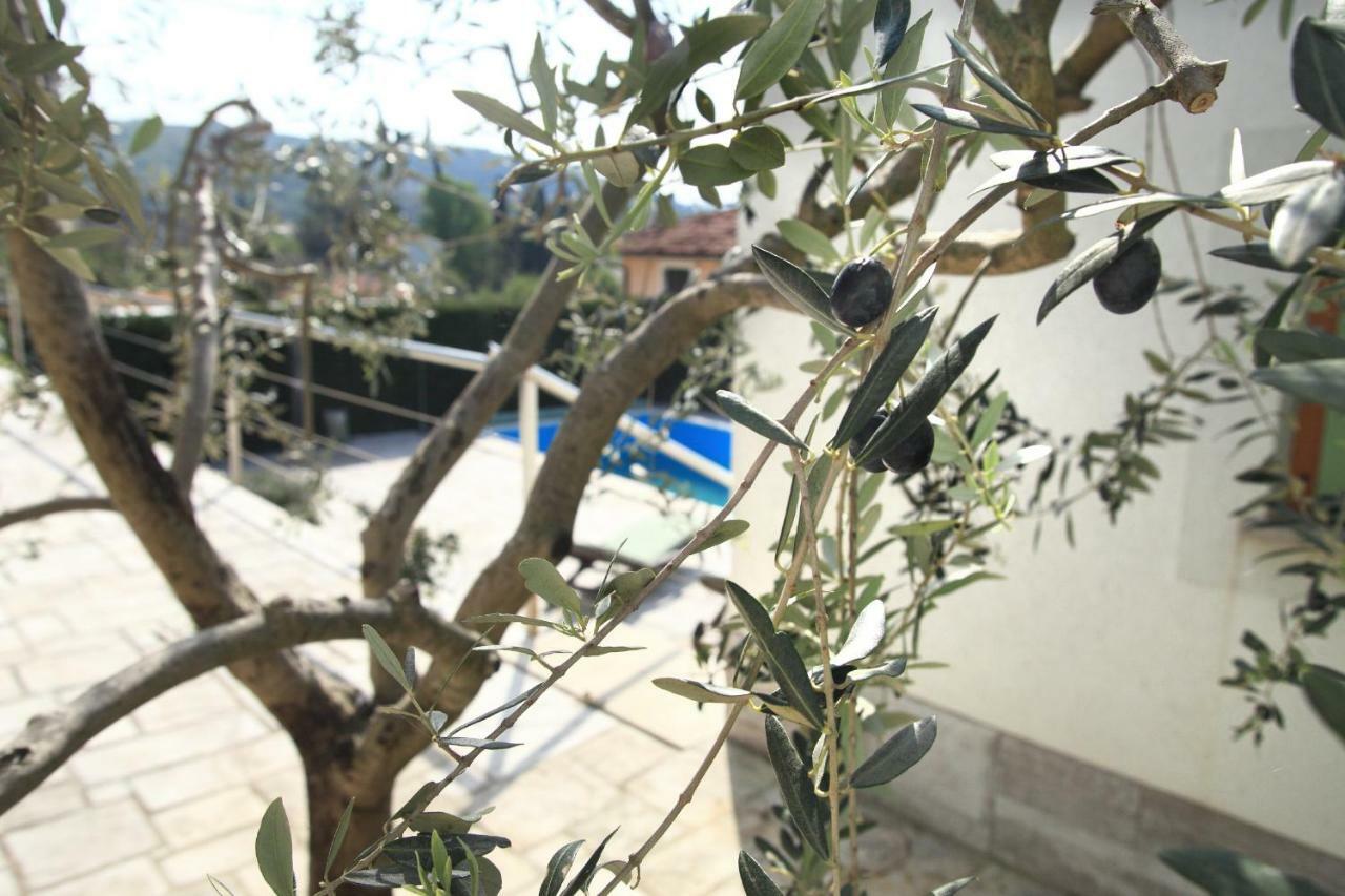 Spacious Villa In Parecag With A Swimming Pool Sečovlje 외부 사진