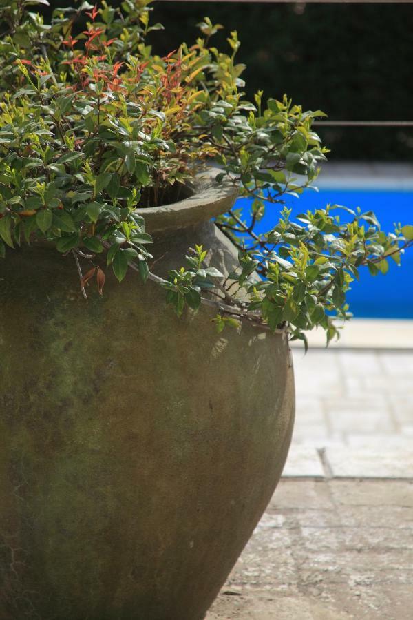 Spacious Villa In Parecag With A Swimming Pool Sečovlje 외부 사진